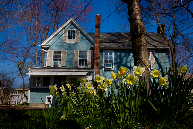 Yellow Flowers, Blue House, Blue Sky : Oxford : MD
