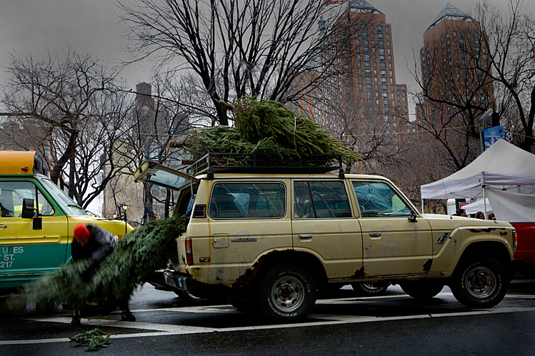 Christmas Tree Shopping : Union Sq : NYC