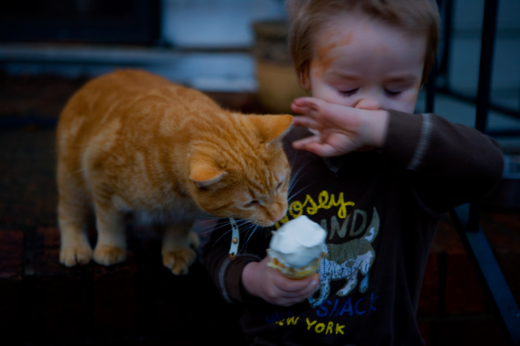 Ice Cream and Cat Flu : West Virginia : USA