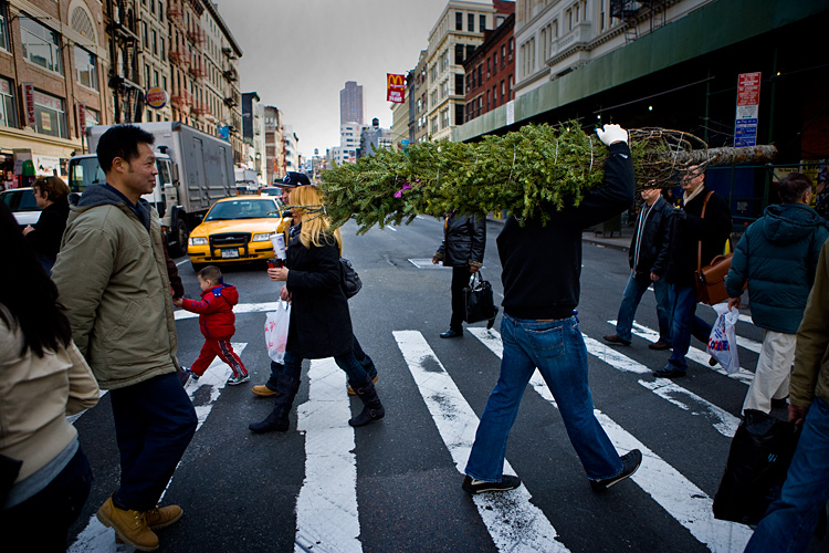 Christmas Tree on Canal St : China Town : New York City
