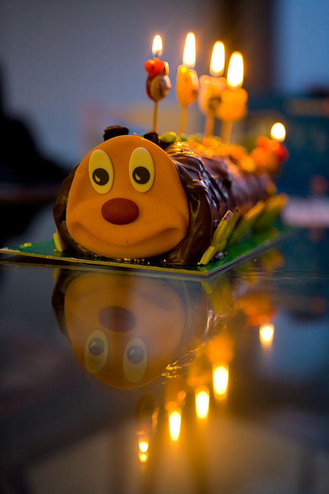 Jez Birthday Caterpillar Cake : London : UK