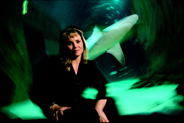 Lisa Jane Stratton Woman Leader in a World of Sharks : London Aquarium : UK