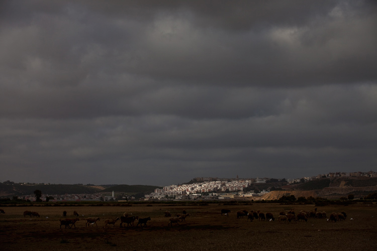 Biblical Scene : Near Rabat : Morocco