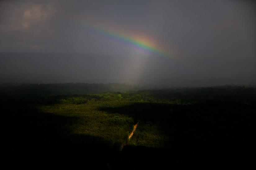 Rainbow Rising from Mississippi Forests : USA