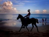 The lone rider - Bahamas
