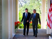 Bush Brown Walk in the Rose Garden: White House: Washington DC