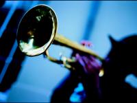 Jazz Trumpet in the Street : Close to Bourbon St : New Orleans