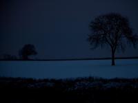 Trees in Snow on The Winter Solstice : Warwickshire : UK