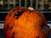 Doorstep Pumpkin of Death : London : UK