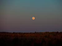 Moon Rise over Maine : Bangor : Maine