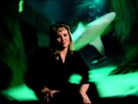 Lisa Jane Stratton Woman Leader in a World of Sharks : London Aquarium : UK