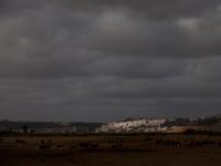 Biblical Scene : Near Rabat : Morocco