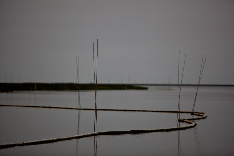 Oil Booms in the Marshes : Bay Jimmy : Louisiana