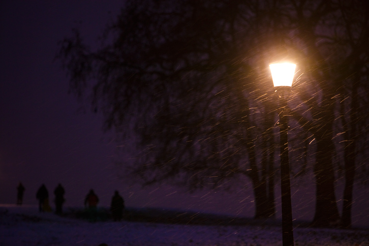 Snowing on Primrose Hill : North London : UK