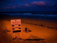 Spot Light Picnic on the Beach : West Palm Beach : Florida