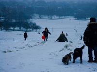 Snow On Primrose Hill : London : UK