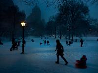 Central Park Sledding : New York City : USA